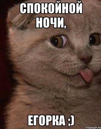 Спокойной ночи, Егорка ;)