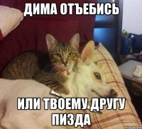 дима отъебись или твоему другу пизда