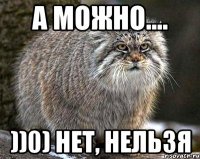 А можно.... ))0) Нет, нельзя