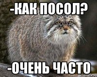 -Как посол? -Очень часто