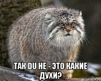  Так Du he - это какие духи?