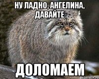 Ну ладно, Ангелина, давайте Доломаем