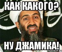 как какого? ну джамика!