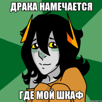 драка намечается где мой шкаф
