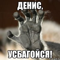 Денис, Усбагойся!