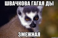 Швачкова гагая ды змежная