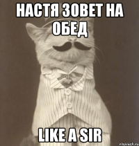 Настя зовет на обед Like a sir