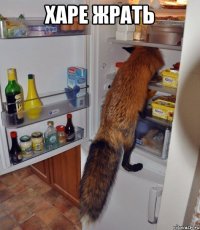 харе жрать 