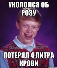 укололся об розу потерял 4 литра крови