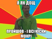 Я як дощ пройшов - і всі кіски мокрі
