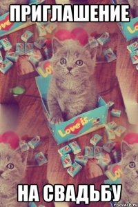 приглашение на свадьбу