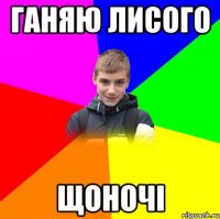 ганяю лисого щоночі