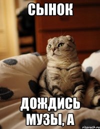 СЫНОК ДОЖДИСЬ МУЗЫ, А