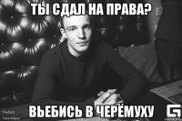 Ты сдал на права? Вьебись в черёмуху