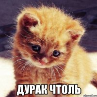  ДУРАК ЧТОЛЬ