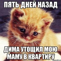 пять дней назад дима утощил мою маму в квартиру