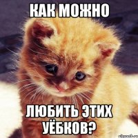 как можно любить этих уёбков?