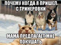 почему когда я пришел с тринеровки мама предлагает мне покушать