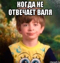 КОГДА НЕ ОТВЕЧАЕТ ВАЛЯ 