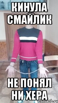 кинула смайлик не понял ни хера
