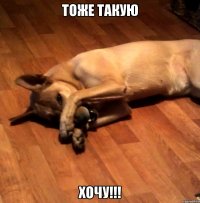 ТОЖЕ ТАКУЮ ХОЧУ!!!