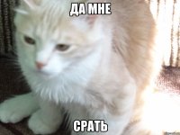 да мне СРАТЬ