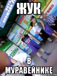 Жук в муравейнике