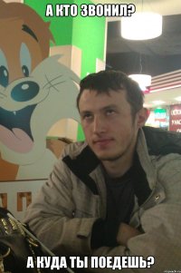 а кто звонил? а куда ты поедешь?