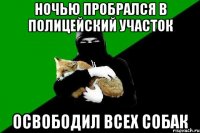ночью пробрался в полицейский участок освободил всех собак