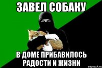 завел собаку в доме прибавилось радости и жизни