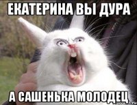екатерина вы дура а сашенька молодец