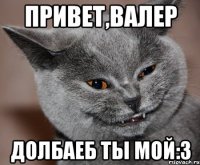 Привет,Валер Долбаеб ты мой:3