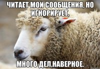 Читает мои сообщения, но игнорирует, Много дел,наверное.