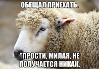 Обещал приехать. "Прости, милая, не получается никак.