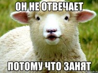 Он не отвечает Потому что занят