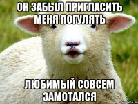 Он забыл пригласить меня погулять Любимый совсем замотался