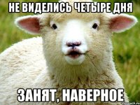 Не виделись четыре дня Занят, наверное