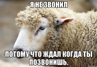 Я не звонил потому что ждал когда ты позвонишь.