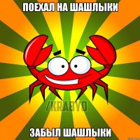 ПОЕХАЛ НА ШАШЛЫКИ ЗАБЫЛ ШАШЛЫКИ