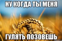 Ну когда ты меня гулять позовешь