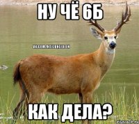 Ну чё 6Б Как дела?