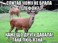 Спитав чому не брала телефон? Каже що другу давала! Така люб'язна ...