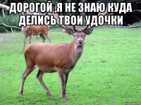 Дорогой ,я не знаю куда делись твои удочки 