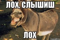 лох, слышиш лох
