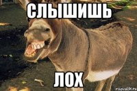 слышишь лох