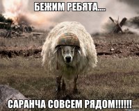 БЕЖИМ РЕБЯТА.... САРАНЧА СОВСЕМ РЯДОМ!!!!!!