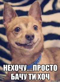  нехочу....просто бачу ти хоч