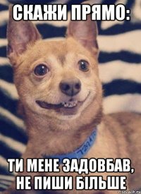 скажи прямо: ти мене задовбав, не пиши більше