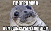 программа помощь серым тюленям