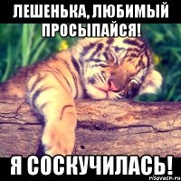 Лешенька, любимый просыпайся! Я соскучилась!